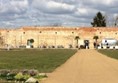 Picture of The Medicine Garden