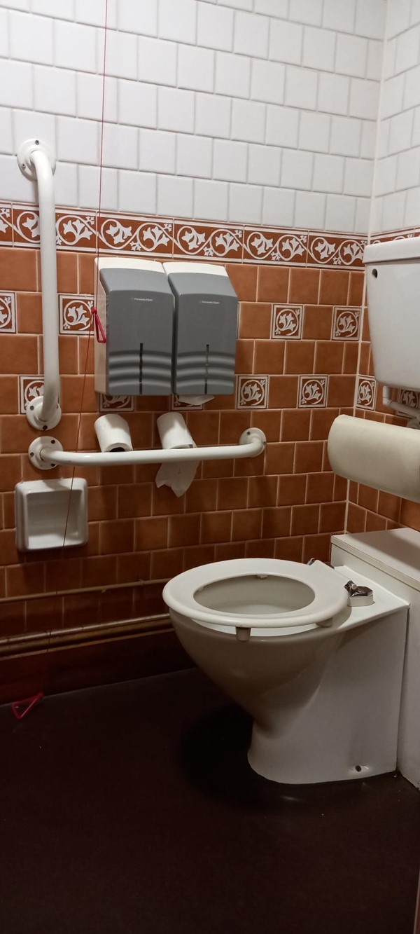 Disabled toilet