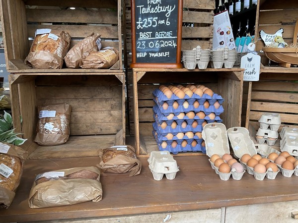Picture of the garden centre shop