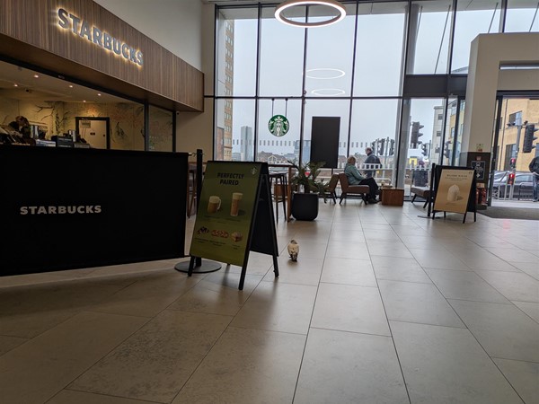 image of seating area for Starbuck