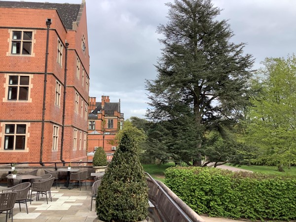 Picture of the terrace