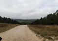 FInally made it to the top of the hill where we stopped for me to catch my breath. Stunning views though.