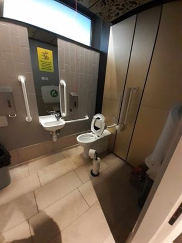 Picture of an accessible toilet