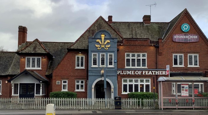 The Plume Of Feathers