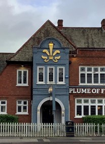 The Plume Of Feathers