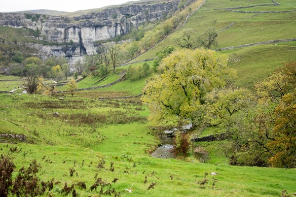 View of Malham Cove with the stream running along the valley.