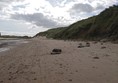 Picture of St Aidan's Dunes