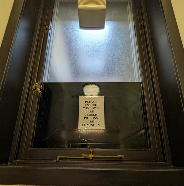 Image of signage advising to keep the window closed due to pigeons