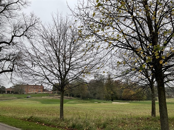 Image of trees and parkland