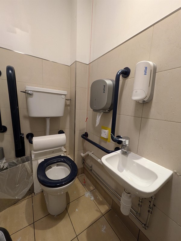 image of toilet and sink in the right accessible bathroom on the first floor