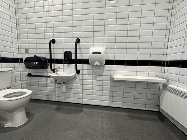 Image of large accessible toilet with lowered shelf on the wall