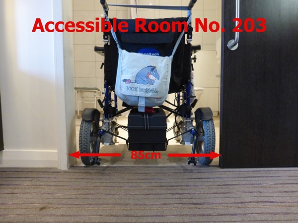 Accessible Room 203