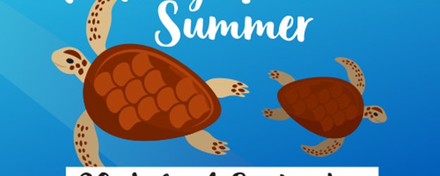 Turtle-y Awesome Summer article image