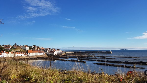 Picture of some buildings by the sea