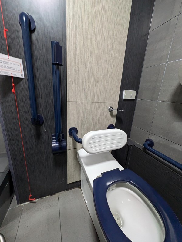 Image of accessible toilet, toilet seat, rails and red cord card