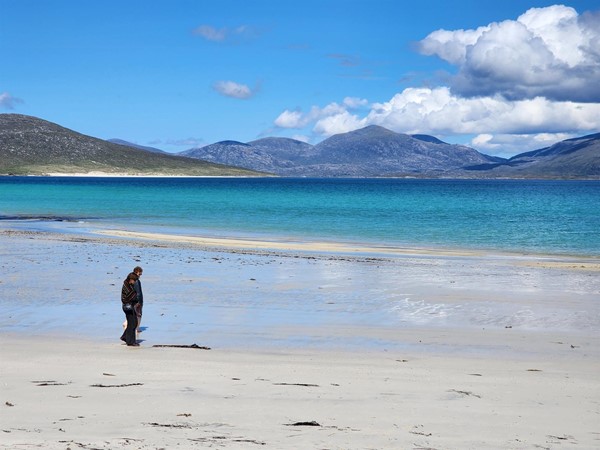 Image of a person on the beach