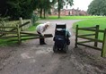 Capesthorne Hall - Fence