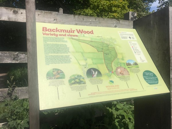 Image of a sign giving information about Backmuir Woods and showing a map of the woods.