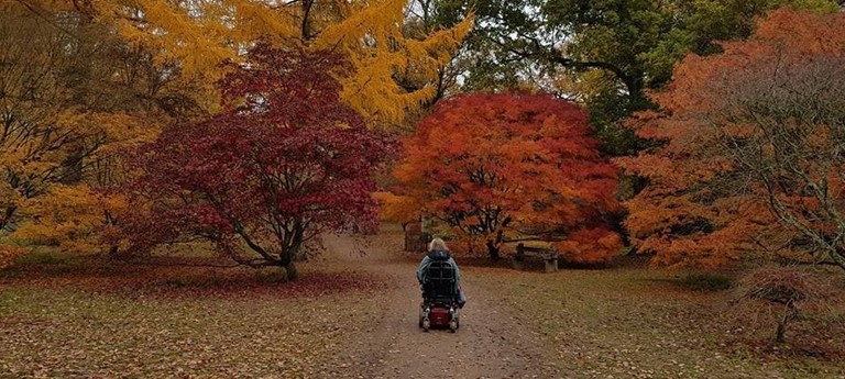 Westonbirt, The National Arboretum
