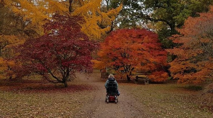 Westonbirt, The National Arboretum