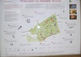 Picture of Norsey Wood