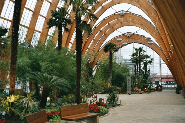 Inside the Sheffield Winter Garden