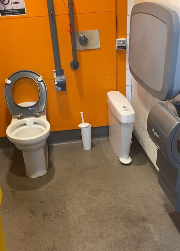 Image of a toilet with grab rails