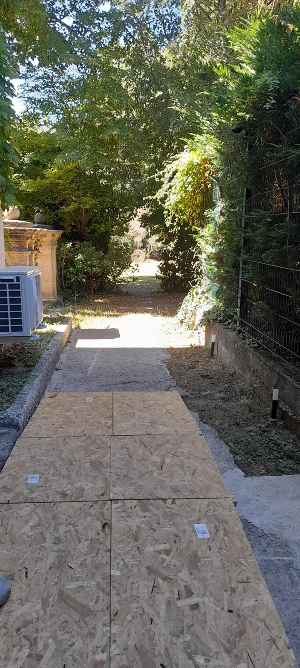 Image of an alley lined with trees