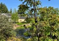 A view from the rock garden through the trees and shrubs. Conveying a feeling of being in the middle of a jungle when you are actually on the hard surfaced wheelchair path