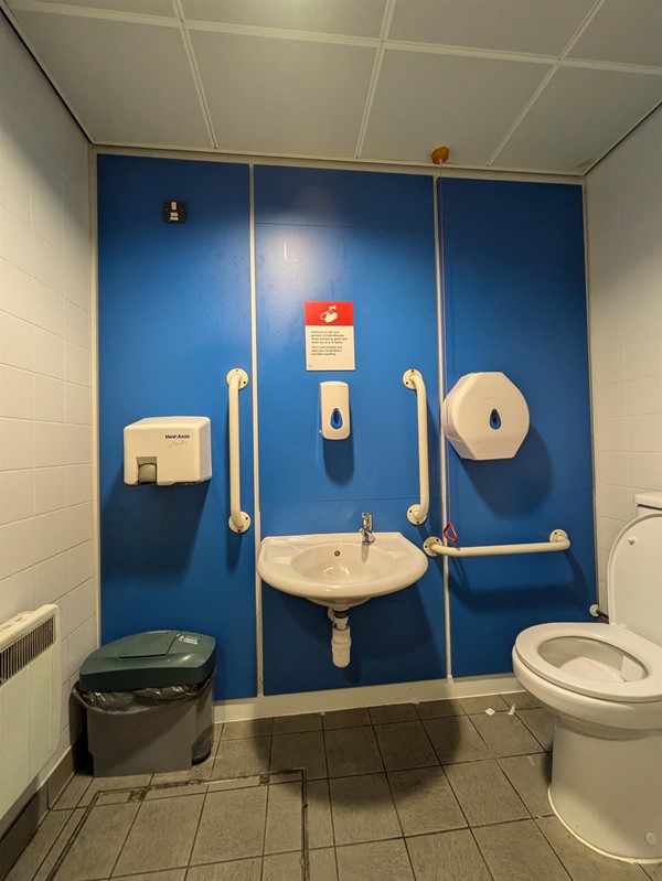 Image of accessible toilet