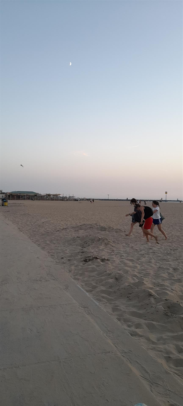 Image of people on a beach