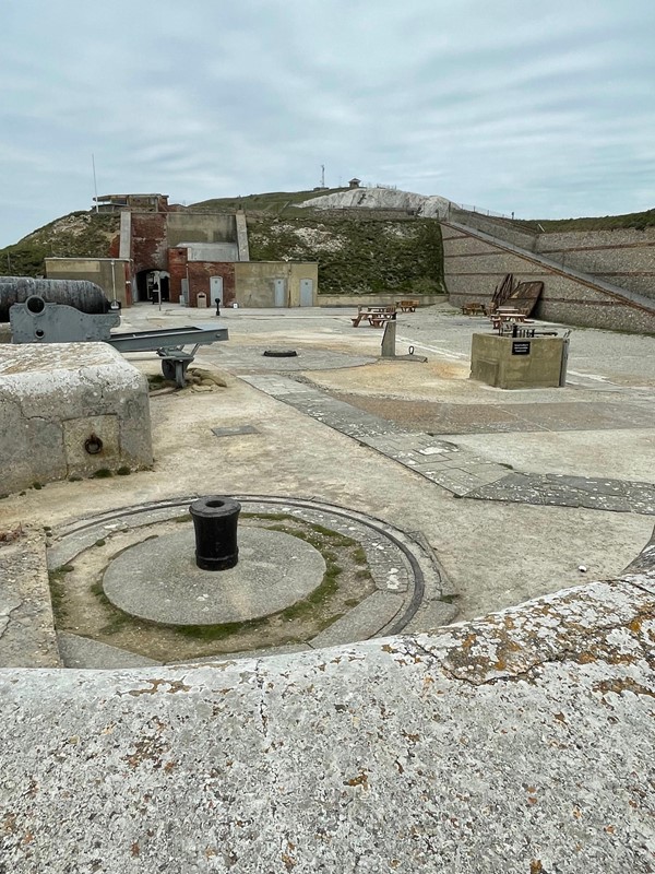 Picture of The Needles Old Battery and New Battery