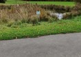 Picture of  Dale Road Park, Derby