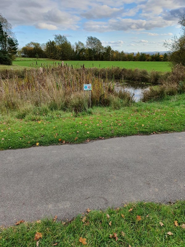 Picture of  Dale Road Park, Derby