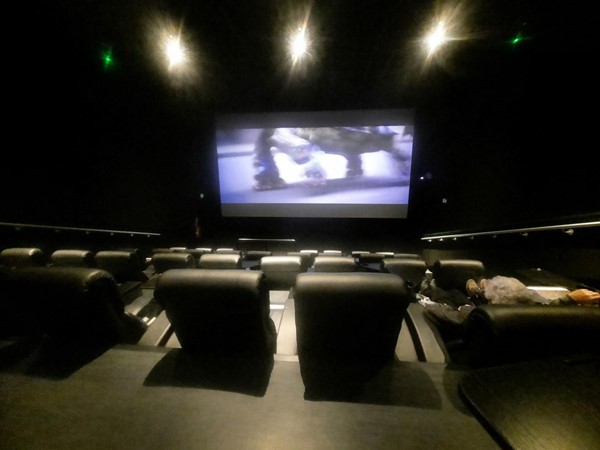 Picture of seats and cinema screen