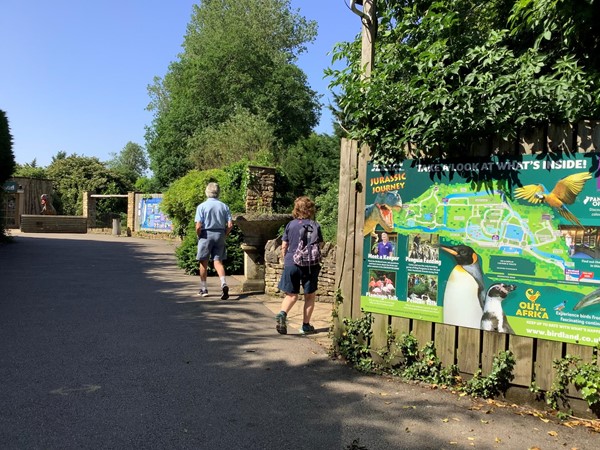 Pathway in the park