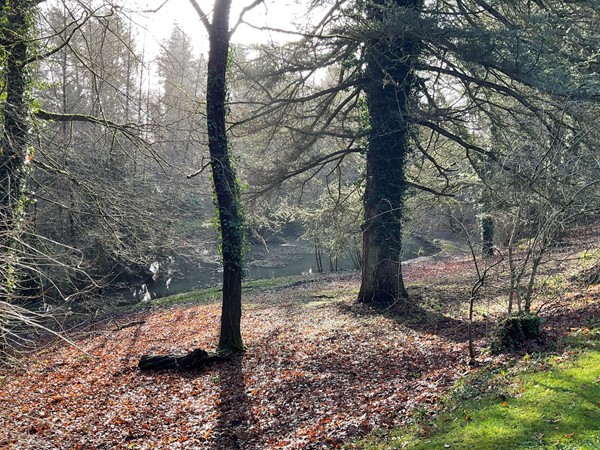 Many species of trees from around the world, and moving along, over to your left, you pass the first of the small lakes, Lodge lake