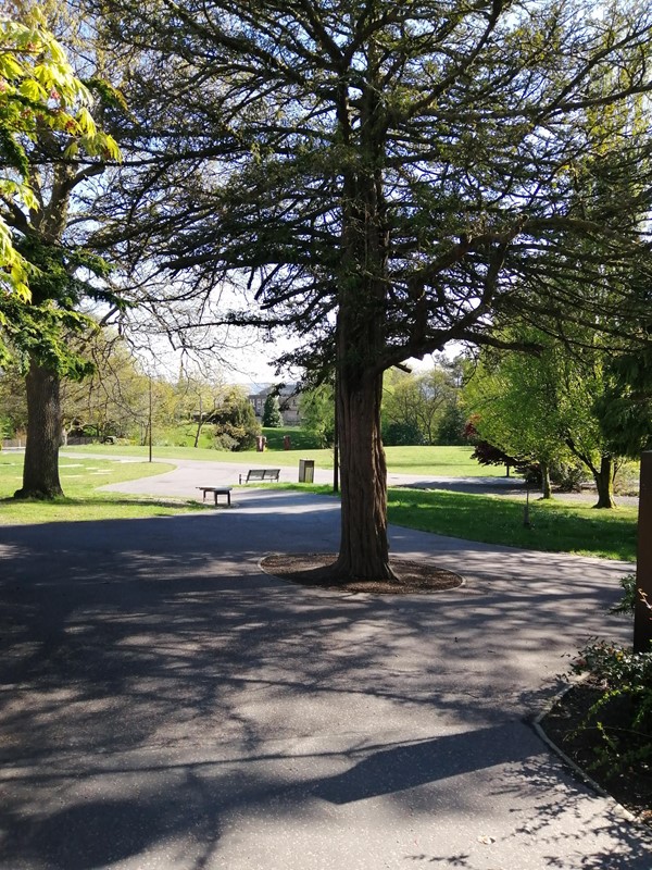 Picture of Hermitage Park