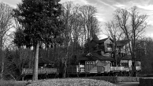 tree house.