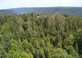 Baumwipfelpfad Schwarzwald