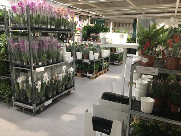 Plant heaven.