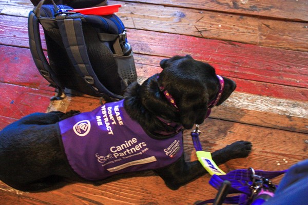 My assistance dog, Liggy, paying close attention to the rope making demo.