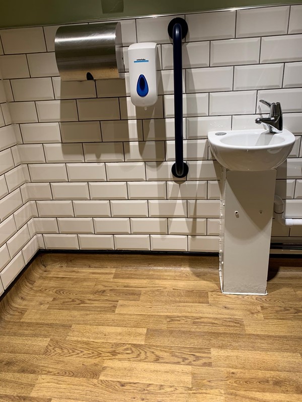 Image of sink, handrail and handryer in bathroom
