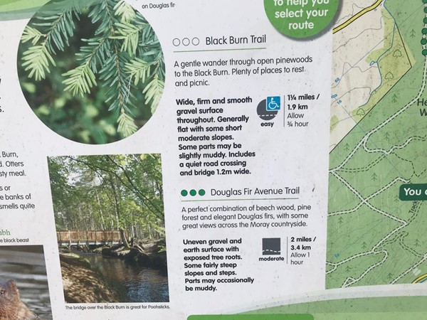Picture of Torrieston Walks