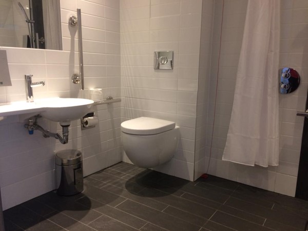 Image of shower room in the accessible hotel room.