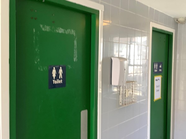 Picture of a couple of geen toilet doors. The far on marked accessible