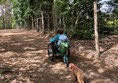 Image of a wheelchair user and a dog in the countryside