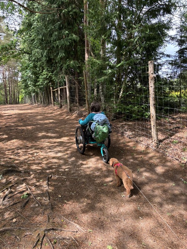 Image of a wheelchair user and a dog in the countryside