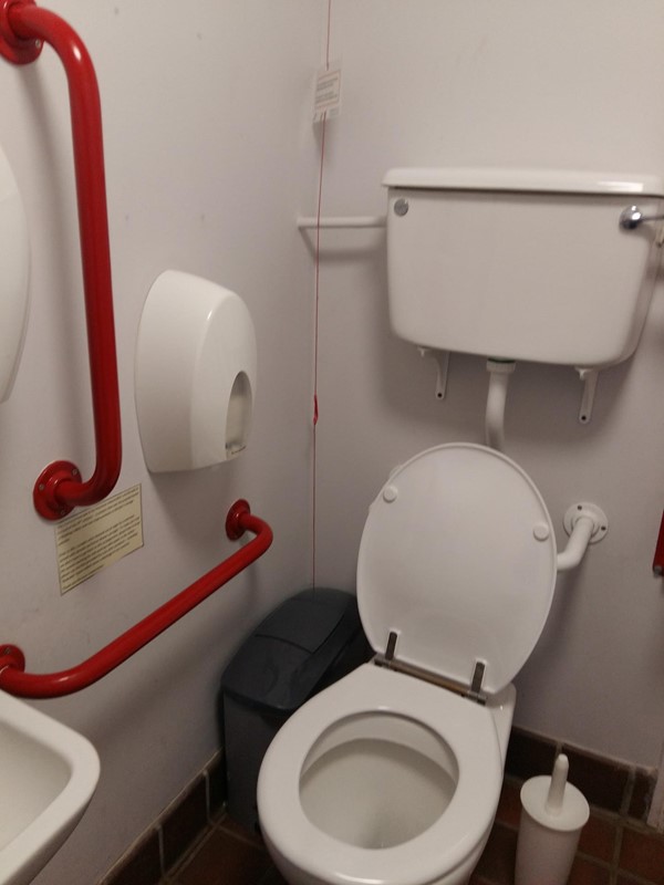 Hatchlands Accessible Toilet