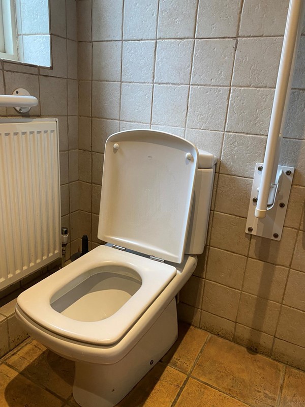 Image of a toilet and grab rail